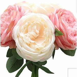 Meet your Posher, Yemsrach